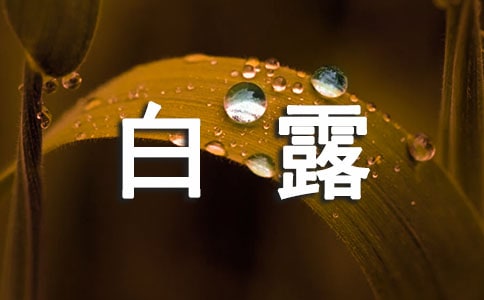 ��¶Ԋ��