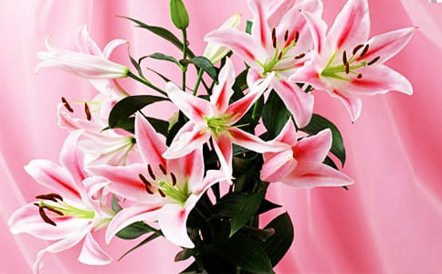 �ٺϻ������ģ�ͨ��37ƪ��