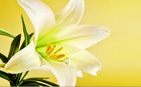 �ٺϻ����Č�(sh��)��15ƪ