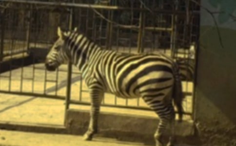 �Y׌���R����ȫ�^�R·����