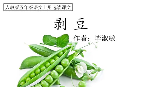 �����Ӷ��꼉��������