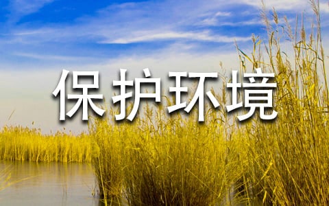 保護環境的作文