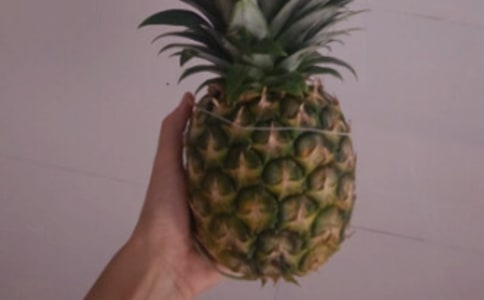 中班《菠蘿》教案
