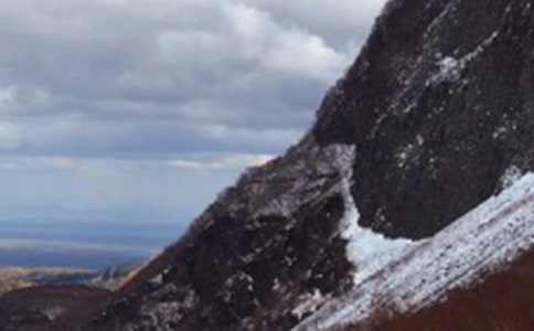 �������L��ɽ���ġ����T��