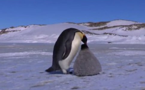 ��Խ�����Đ�����