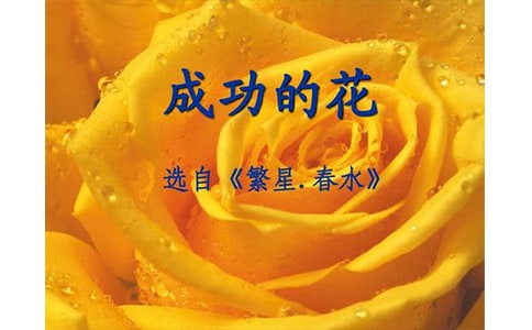 ���ǵĻ�,�ɹ��Ļ�����700��