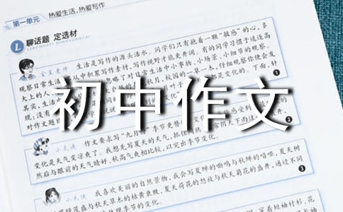 �ճ������������