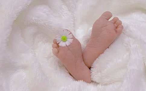�ҳ��������ģ����x23ƪ��