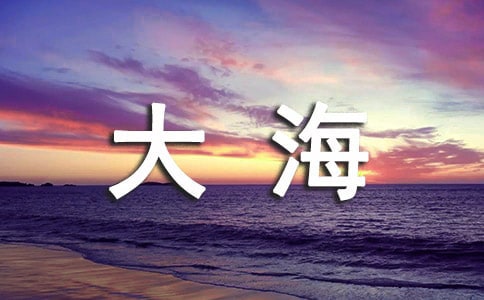 (必備)寫大海的作文