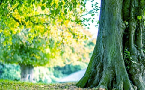 �а����g(sh��)����䡷�̰�
