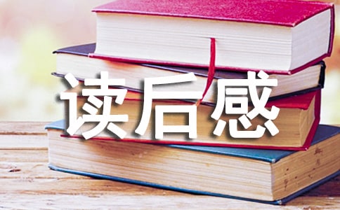 曹文軒《根鳥》讀后感