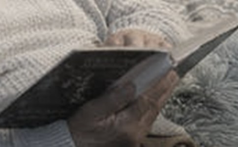 �y�����x��������11ƪ
