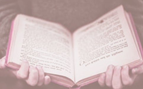 �c�����x�������P������