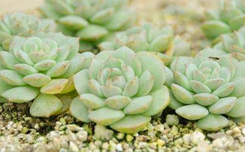 �ҵĶ������у�������