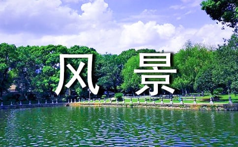 �L�����}���P��