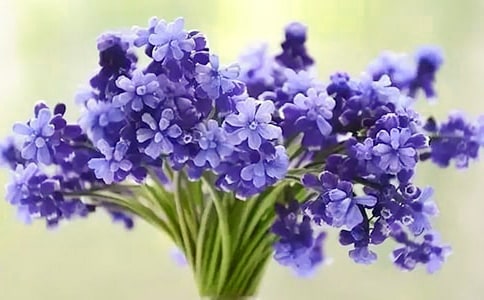 �L����С�W����