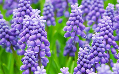 �Ҽҵ��L���Ӄ�������