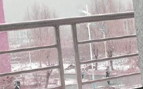 �����������ġ��L(f��ng)ѩ֮÷��