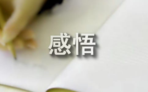 �b�x���������L�ă�������