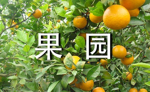 �����T(m��n)�������Ĺ��@����