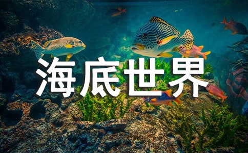 �茑����������������
