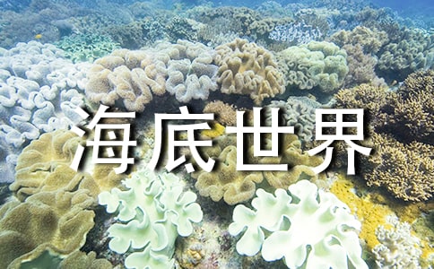���������硷�Z(y��)�Ľ̰��n��