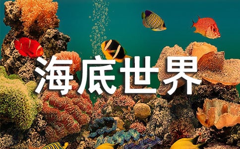 《海底世界》幼兒園大班美術活動教案(精選10篇)