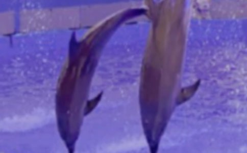 ���������c�����������ą^(q��)�e