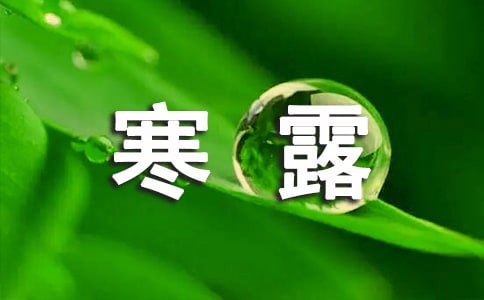 ���P(gu��n)��¶������