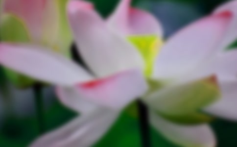 �ɻ�������