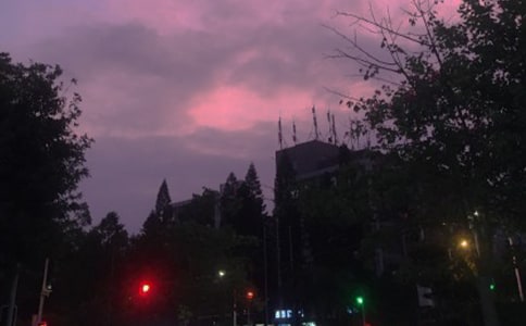 ��(zh��n)�ٺ�ҹ�����꼉����