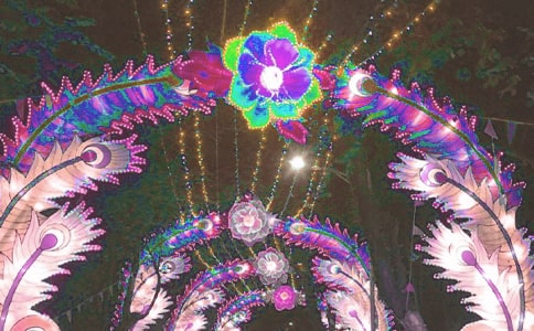 ���l(xi��ng)�Ļ�������