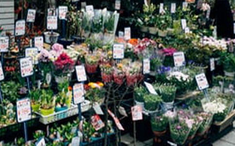 小狗開花店小班教案