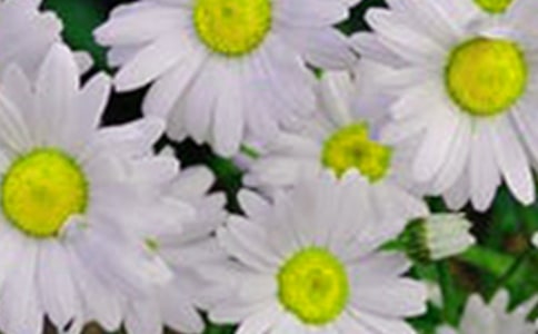 �����Ļ�����ô�C