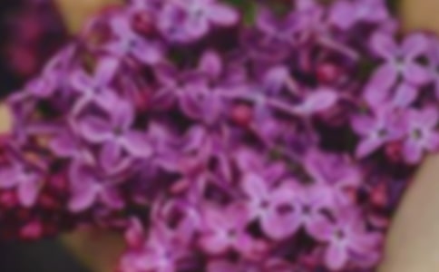 �B�ǘ�Ļ�����x��