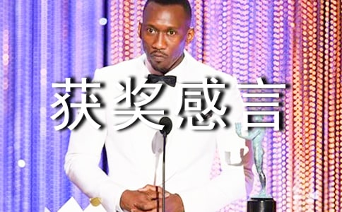 團隊獲獎感言發言稿