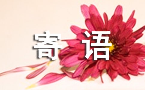 ���Z����������