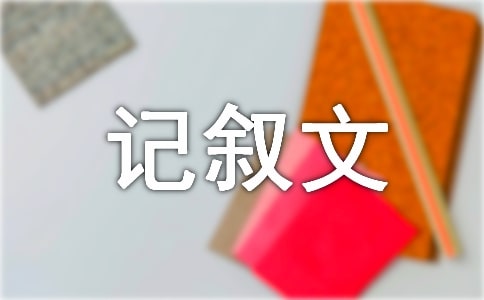 ����ӛ���Č�������ָ��