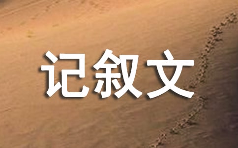 ������ӛ���Č���ָ��