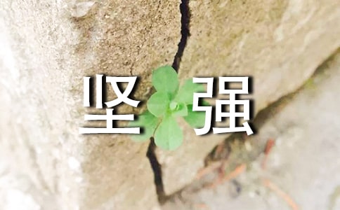 ������ԏ�����������4ƪ