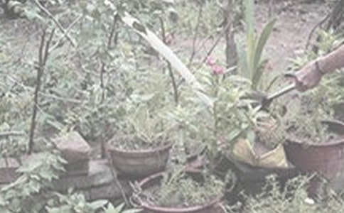 С�W����������100��