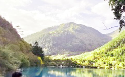 ��կ�������ĵ��w��