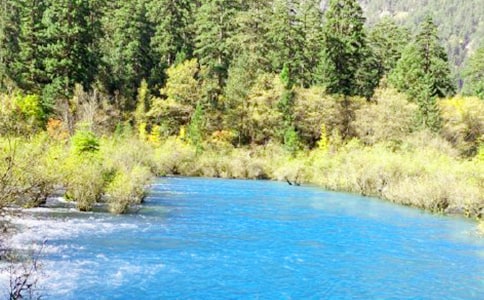 �Ĵ���կ�����еĂ����^���