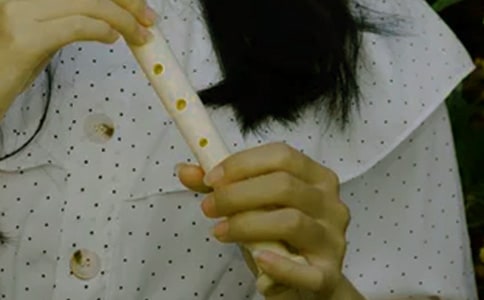 我遇到了神奇的樂器作文