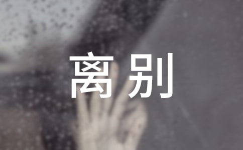 相遇離別初三作文
