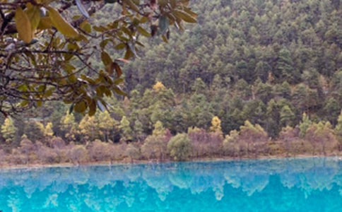 �P(gu��n)����������ӛ����