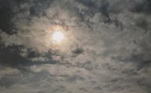 �賿��������