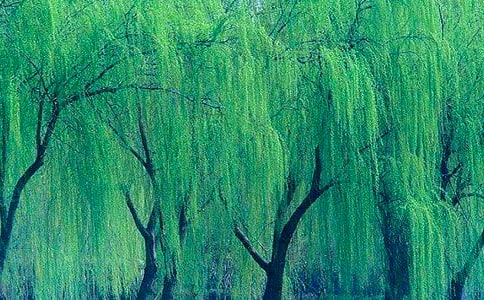 �����䡷С�����g�̰�