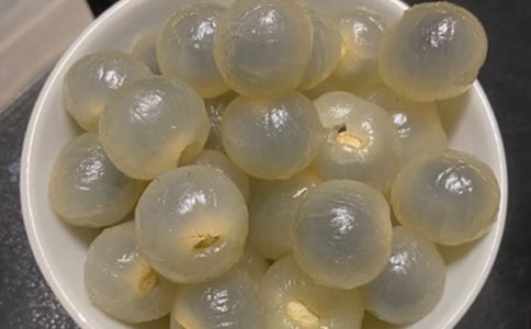 ���x���ۘ�������ƪ