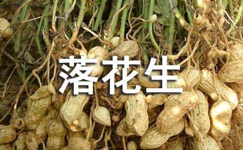���仨�����ڌ��������ϵ�'���c���Y